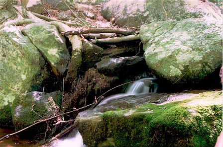 Waterfalls